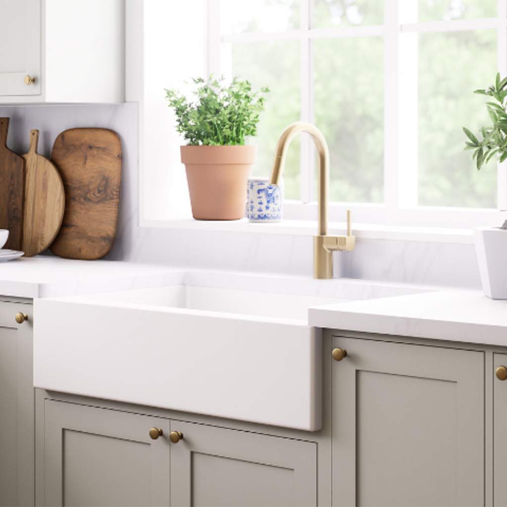 Kitchen sink with plant